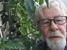 Self with black cherry tomatoes.webp