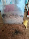 With 150 ml sawdust.webp