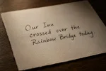 rainbowbridge.webp