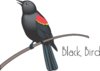 Blackbird logo.jpg