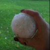 barbara hail.jpg