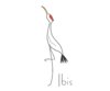 ibis logo w.jpg