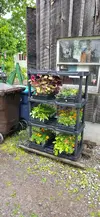 20250529_085357.webp