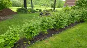 20250529_083952.webp