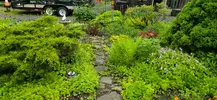 20250529_085143.webp