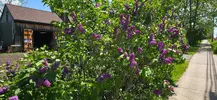 20250516_131927.webp