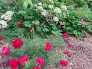 20250530_165157.webp